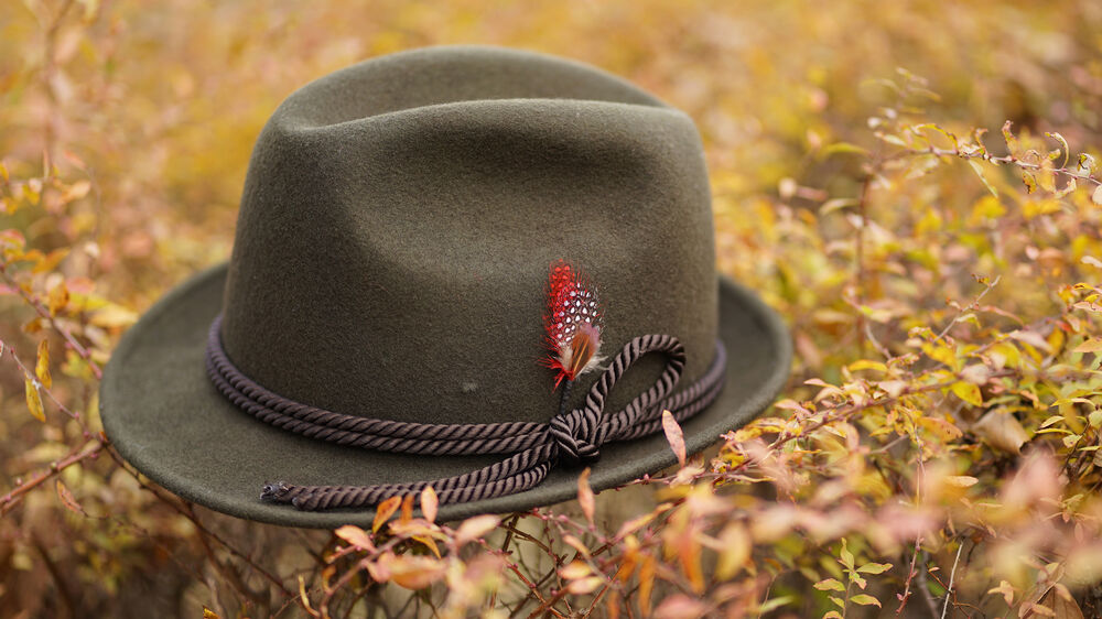 Sombrero verde oscuro de fieltro con pluma decorativa roja y blanca y cordón trenzado, posado entre follaje otoñal.