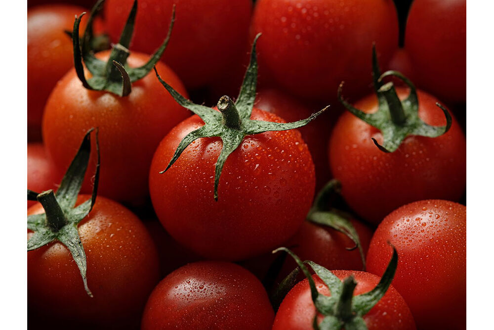 Lente macro FUJIFILM GF 120mm f/4 R LM OIS WR con detalles de gotas de agua sobre tomates rojos.